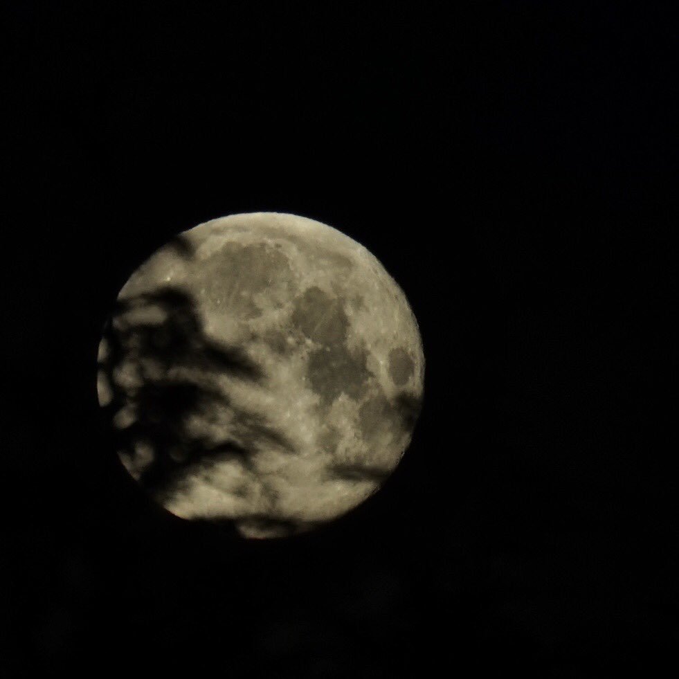 Richard Cook tweet media