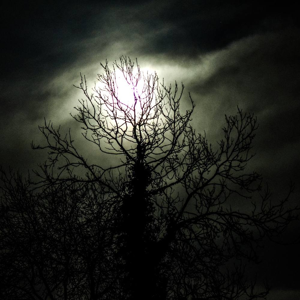 MarshallFarmUK's tweet photo. Popped outside and was greeted with a moon looking  like this. Just wow.

https://t.co/CWHPhSR5EA
#moon #astronomy #space #beauty #beautiful #amazing #smallholdinglife #smallholders #life #gorgeous #planets #night #nightsky #winter #spring #fullmoon https://t.co/KL3Rj4QxLi