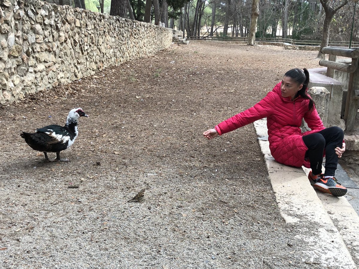Paso tantas veces corriendo, que me pierdo todo lo que hay por aquí