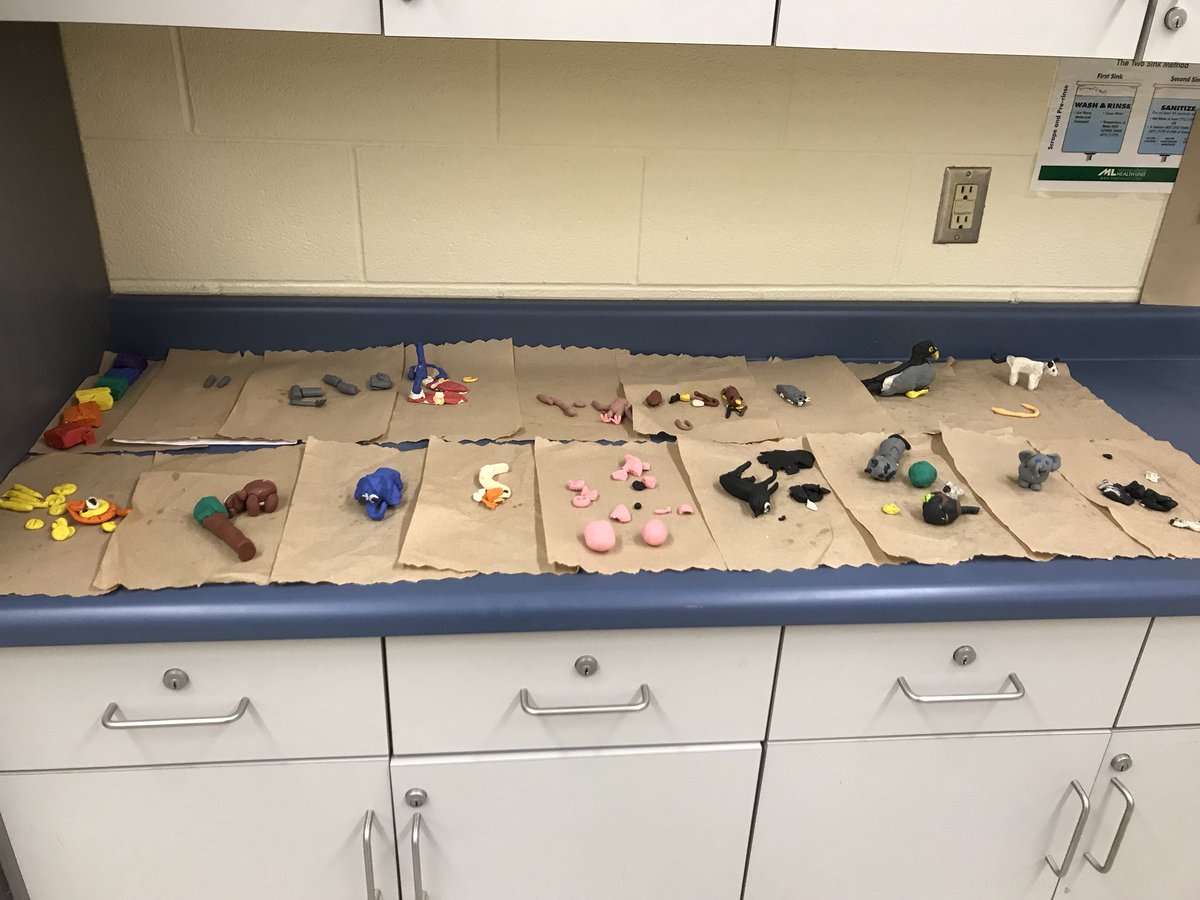 missropp's tweet photo. The grade 7’s have been busy working on their animal claymation projects! #corefrench https://t.co/56HHkUKHPp