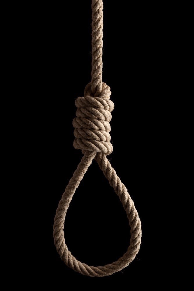 GOP_2013's tweet photo. @DevinNunes Can't wait to see you swing from the gallows, traitor. https://t.co/HxPI7cRkNu