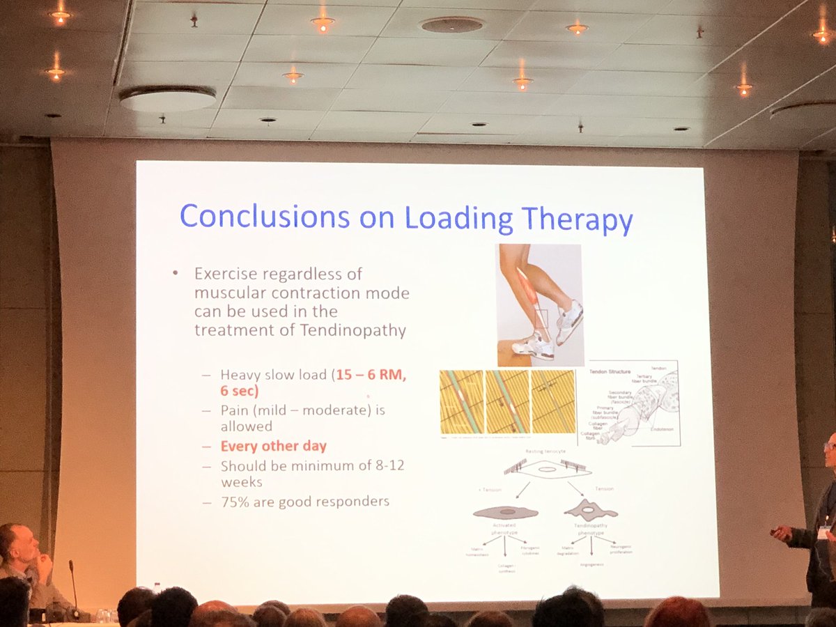 tomgoom's tweet photo. Nice conclusions to a great lecture from Christian Couppé on loading for tendinopathy at #sportskongres 
- load magnitude and time under tension are key 
- contraction type (ISO/CON/ECC) less important
- heavy slow loading may be preferable with ~75% getting good outcome https://t.co/Iq2TtYRBDN