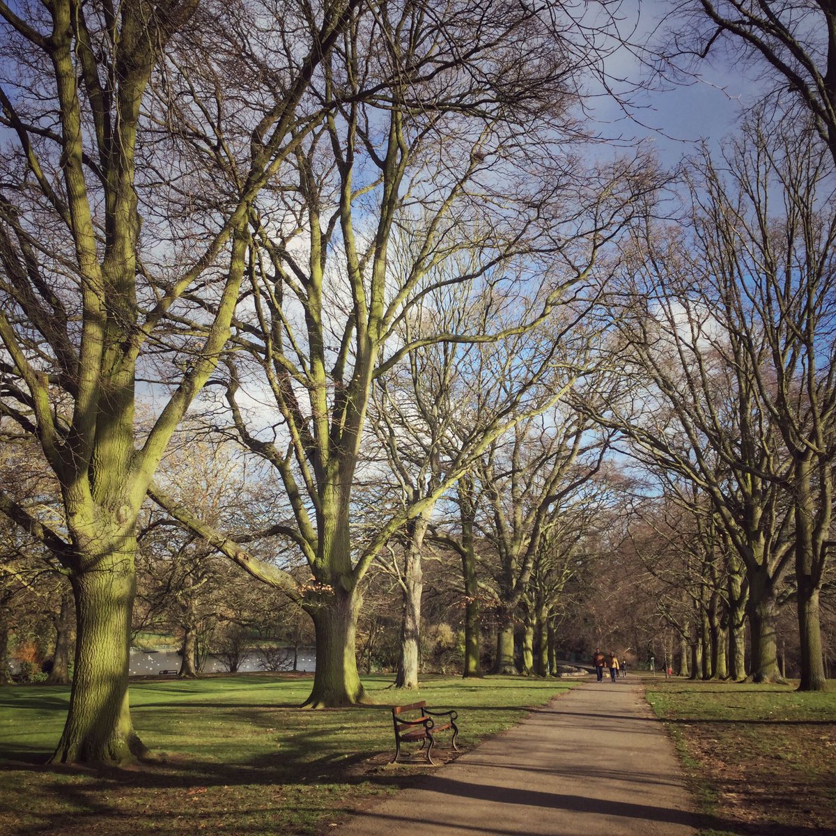 Icarus_978's tweet photo. It was sunny and I was passing the park... #parklife #littlestroll #GetOutside #Northampton #AbingtonPark #sunnydays https://t.co/uqe8A3jH7R