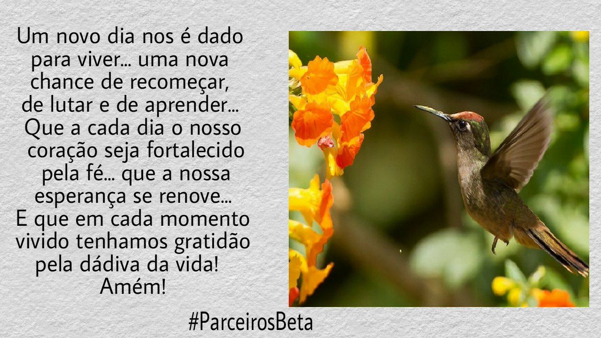 #ParceirosBeta 
<a href="/ParceirosBeta/">#PARCEIROSBETA OFICI</a>