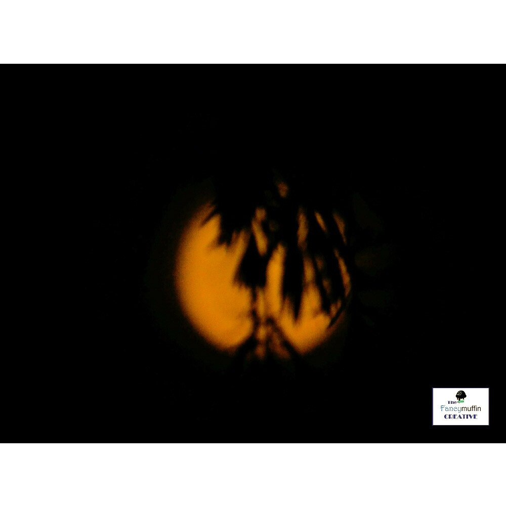FancymCreative's tweet photo. Been super shy &amp; afraid to post my work online 🙈 But super excited about the #SuperBlueBloodMoon I think I have over come my phobia. 🙈
Passionate about nature &amp; the outdoors, have a look at last night's incase you missed it. 
#FemalePhotographer  #femalecreativedirector #Nikon https://t.co/fVCvWrHlBs