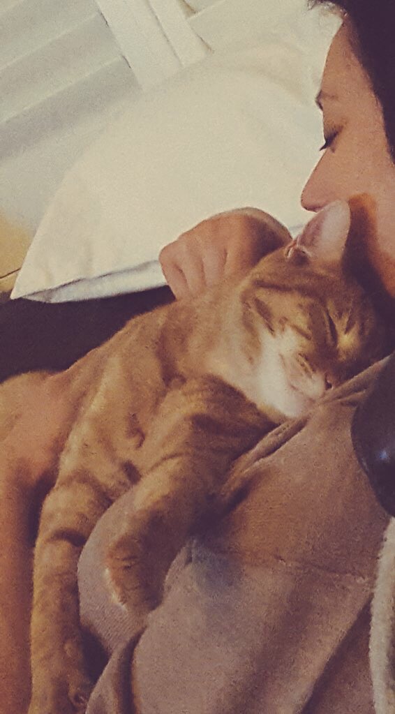 PawsomeJameson's tweet photo. @SimonsCat #ItsNotLoopy #LifeIsBetterWithCats 😺 https://t.co/rcB6gnawig