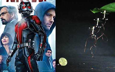 LiveBrainBlog's tweet image. החרק המעופף - RoboBee.

ב-2013, פיתחו צוות מאוניברסיטת הארוורד רובוטים דמויי חרקים המסוגלים לעוף. אחד מהרובוטים, RoboBee, שודרג לאחרונה כך שהוא יכול להידבק כמעט לכל משטח באמצעות בולם זעזועים מיוחד שמותקן עליו. גודלו של הרובוט הוא כגודל מטבע!
קצת מזכיר משהו לא? #אנטמן #Antman