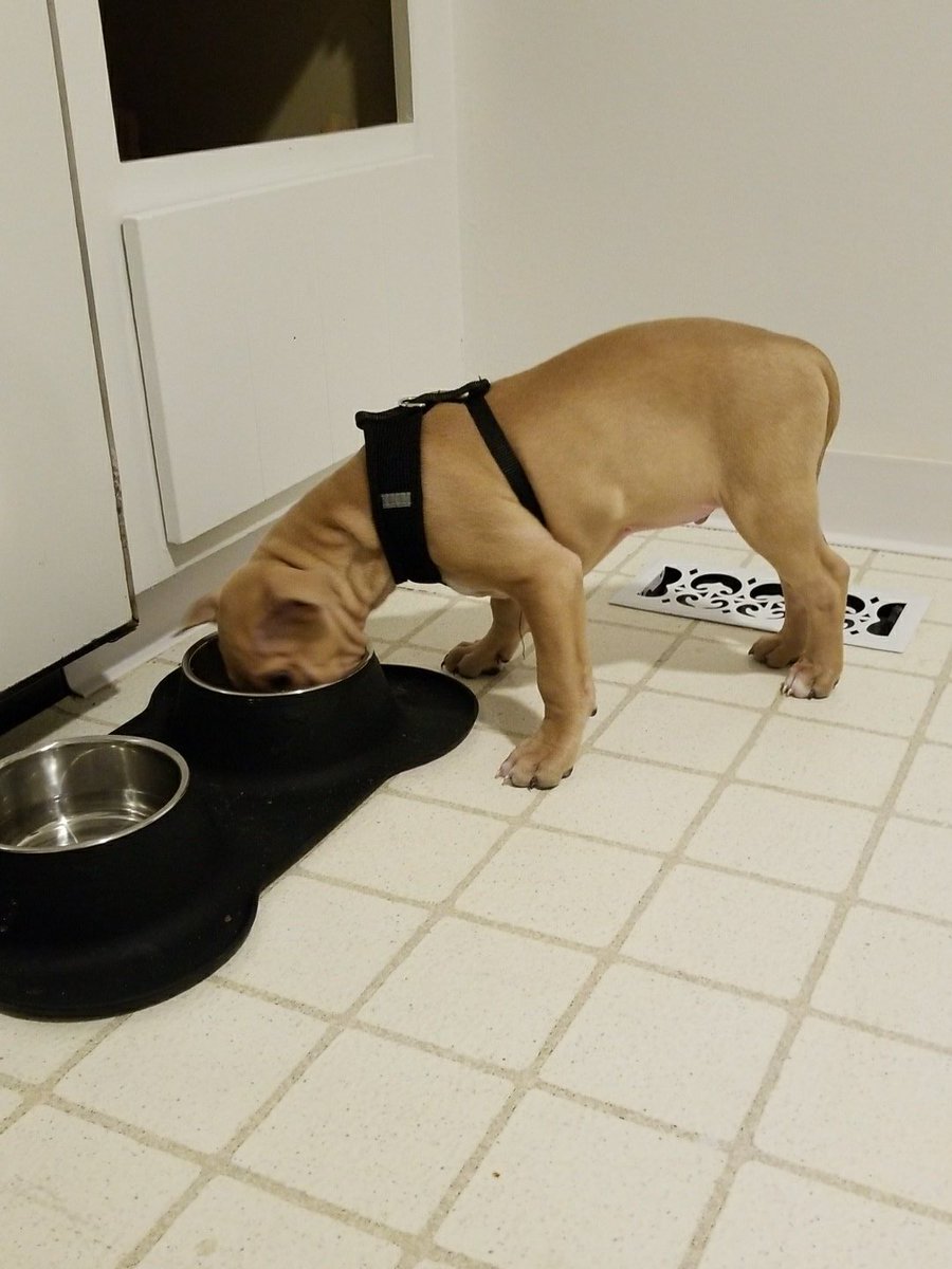 ipryor89's tweet photo. The wrinkliest vacuum https://t.co/7BDN3QaJOS