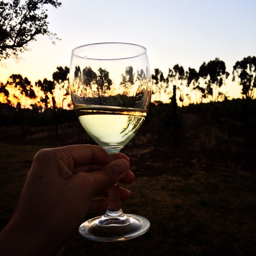 onderkloof_wine's tweet photo. #Chenin 2017, can't wait to share this beauty with everyone on Saturday #03Feb18 #cheninlaunch #onderkloof #winery #discoversawine #visitHelderberg #sirlowryspass #helderbergwineroute #wineblogger #cheninblanc #follow #OnderkloofWineEstate #RT https://t.co/F9hYIz04zW
