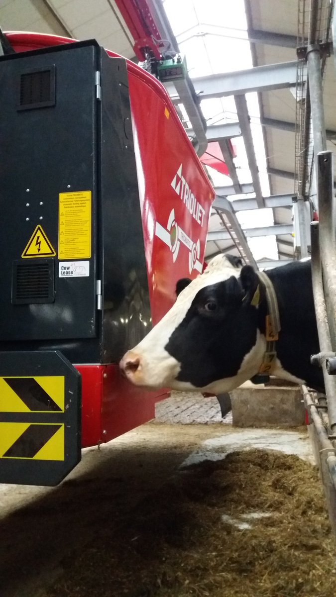 SFR_lelystad's tweet image. Het is best spannend dat je voer nu automatisch naar je toe komt. 
Trioliet voerrobot installatie in volle gang op Schothorst Feed Research
#schothorstfeedresearch #trioliet #spannend