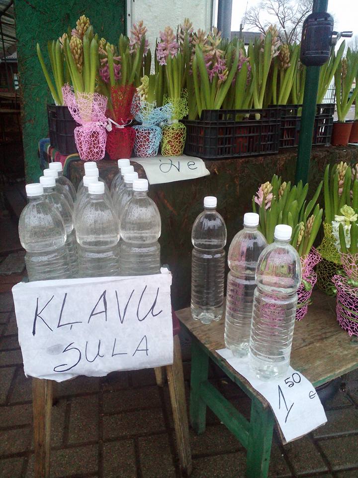 Petertirgus's tweet photo. Kļavu un bērzu sulām, ļoti bieži izmanto apzīmējumus "bioloģiski aktīvs ūdens" un "dzīvs ūdens", un taisnība ir - tas ir ļoti vērtīgs ūdens, ko koks caur sevi ir izfiltrējis. Pa ziemu kokā esošā ciete pārvēršas cukurā, un pavasarī, kad koks dzen caur sevi ūdeni, tas kļūst salds. https://t.co/WmyavsAEjy