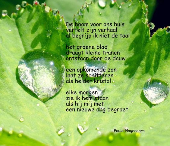 Petra MediumTarotLady (@orakellady) on Twitter photo 