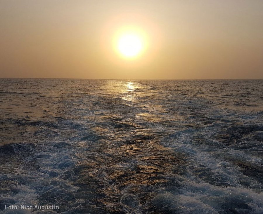 GEOMAR_de's tweet photo. 7200 Seemeilen zurückgelegt und 40 Unterwasserberge kartiert - Expedition #MSM70 nähert sich ihrem Ende. im #Blog zieht das Team ein positives Fazit: https://t.co/rflbZFcjj4 #oceanblogs @thefutureocean @kieluni https://t.co/GQToxjf8sD