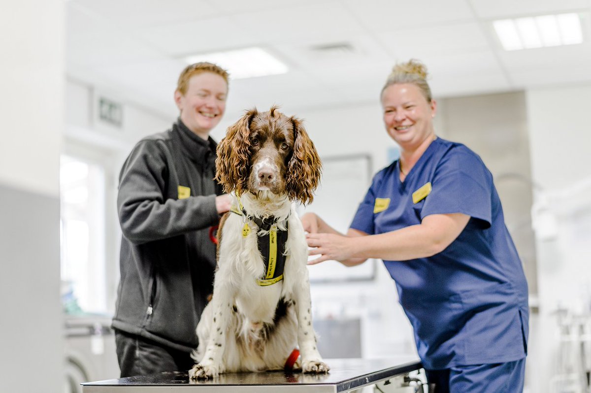 By donating to <a href="/DogsTrust/">Dogs Trust 💛🐶</a> via our ATMs, you can help us provide happier and healthier lives for dogs across the UK.