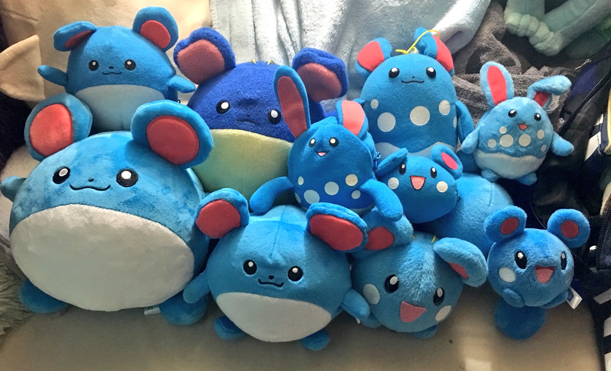 もみねこっ No Twitter 昨日がマリルリの日だったなんて知らなかった ってことでうちにあるルリリ マリル マリルリのぬいぐるみを載せてみたり マリルリのぬいぐるみってかなりレアなんじゃないかと思っている 公式グッズでも3種類だけみたい 海外の方とか もみねこっ No Twitter 昨日がマリルリの日だったなんて知らなかった ってことでうちにあるルリリ マリル マリルリのぬいぐるみを載せてみたり マリルリのぬいぐるみってかなりレアなんじゃないかと思っている 公式グッズでも3種類だけみたい 海外の方とか