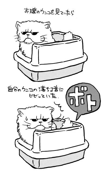 トイレのお嬢様。 