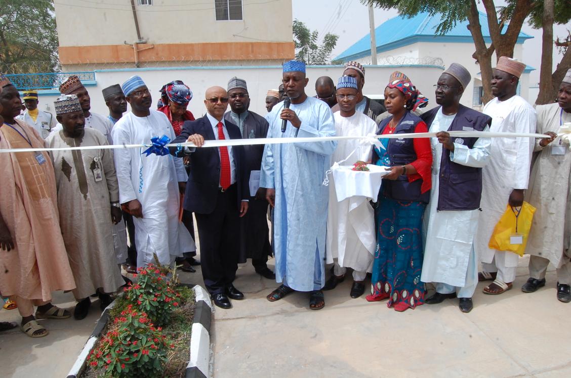 Umole Elfrida tweet media