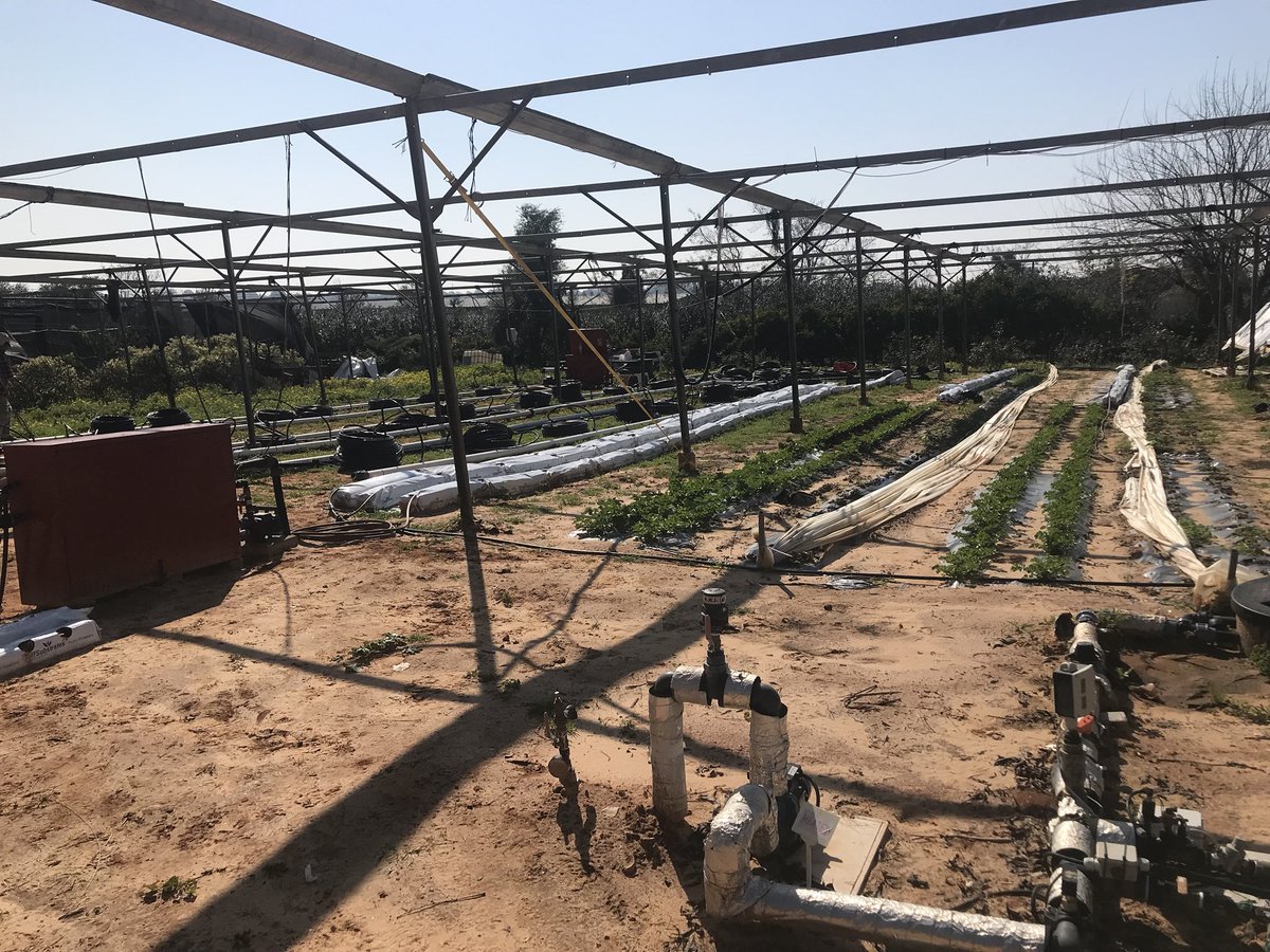 EverBluCapital's tweet photo. Great site visit to Roots $ROO RnD facility. #africulture #israel #asx @EverBluCapital https://t.co/yoMUHXxS2Y