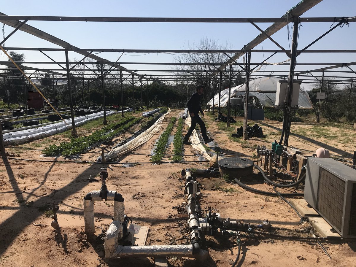 EverBluCapital's tweet photo. Great site visit to Roots $ROO RnD facility. #africulture #israel #asx @EverBluCapital https://t.co/yoMUHXxS2Y