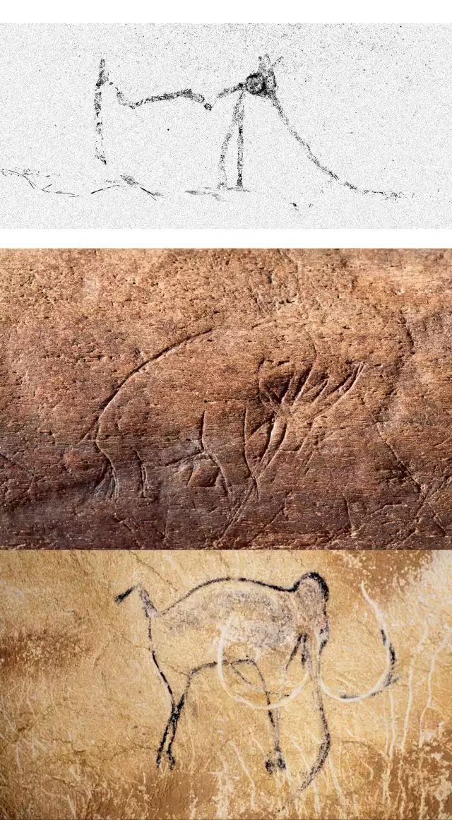zyc5003's tweet photo. The snail pictured the petroglyphs of the ancient elephants in the French Grotte Chauvet, as if the memory of thousands of years had been passed on in the genes of their snail families. #TheLanguageofBugs https://t.co/puM5zReGrI