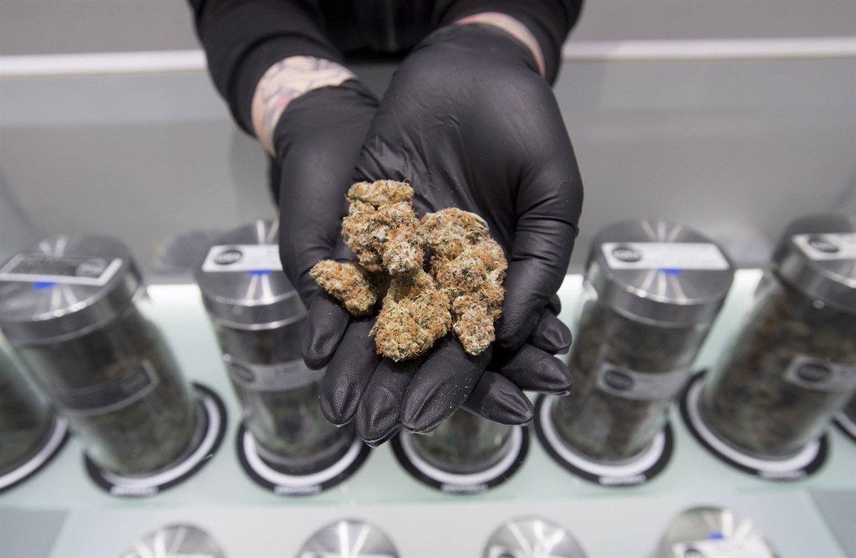 Regulators urged to include so-called grey market in marijuana legalization: bit.ly/2ny1Yt5 https://t.co/8sFvd5mZ8E