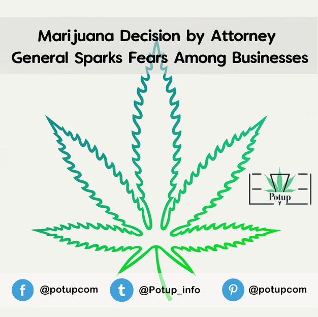 Potup_info's tweet photo. Marijuana Decision by Attorney General Sparks Fears Among Businesses visit here... https://t.co/tdAG6Kqq1H https://t.co/XFnBoEkSj6