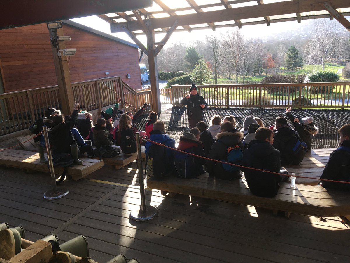 meadowfieldclc's tweet photo. Everyone has had a big breakfast and is ready for a long walk in the sunshine today! We are still smiling after an excitable night #energy #outdoors #walking #fullytummies https://t.co/Ik4J3629nE