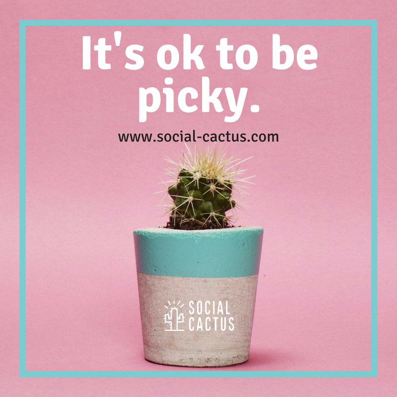 Social Cactus tweet media