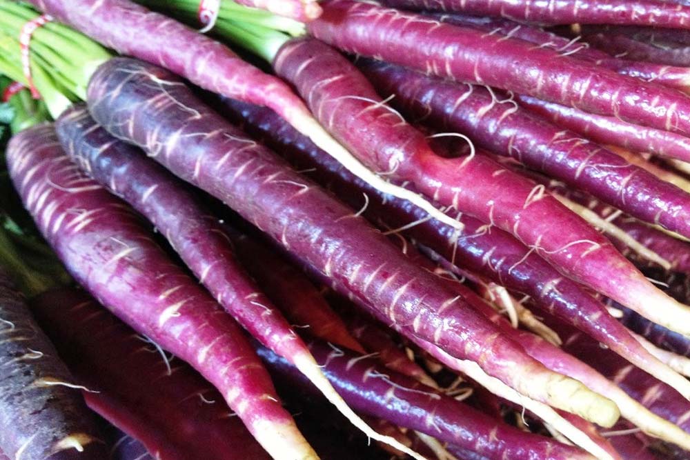 EcoSpiragli's tweet photo. Dalla rosa di Gorizia alla fava di Leonforte, i super #food della nonna coltivati in Italia
https://t.co/SgmIZkLxcu https://t.co/JADkLIJS1h