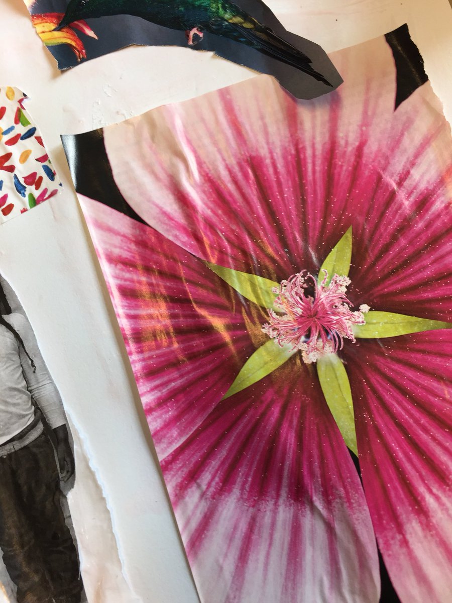 Foton, selfies, lera - porträtt på olika sätt med Skärsätra förskoleklass #kameleonten #lidskol