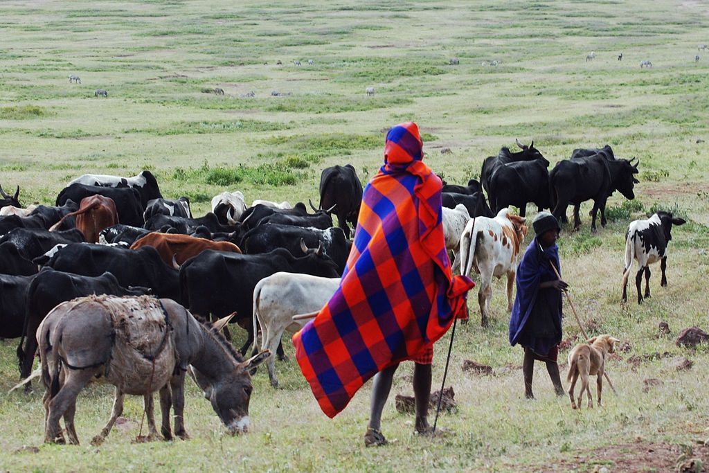Bizcommunity's tweet photo. #MobileApp to help #pastoralists find pasture is here! Pastoralists will now be able to use their mobile phones to find pasture &amp; water for their livestock | https://t.co/Xr04xE9J0L via @Biz_Agriculture #Kenya #Grazing #AgriTech #Afriscout https://t.co/KGZRiSwGHb