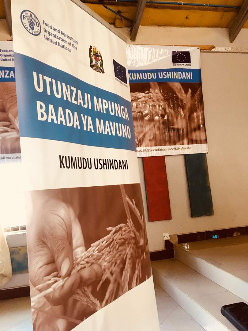 HN: Launch of an EU funded rice project in #Iringa - over 10k rice farmers will be equipped w/t post-harvest management skills @europeaid