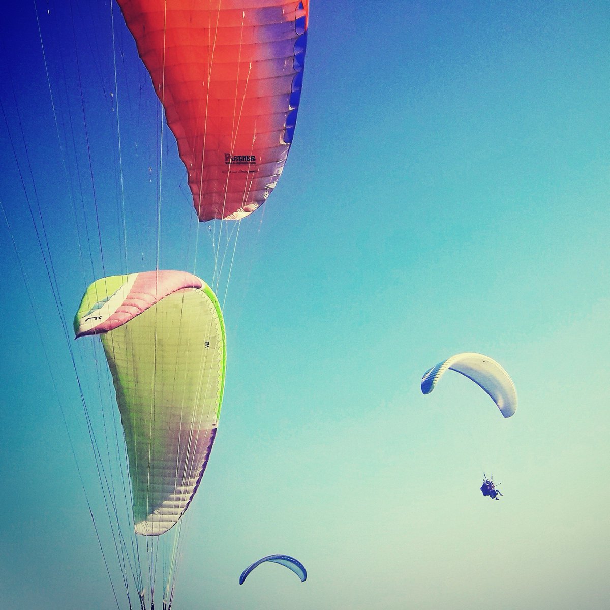 flynirvana's tweet image. #asianage #paraglidingkamshet #flynirvana asianage.com/life/more-feat…