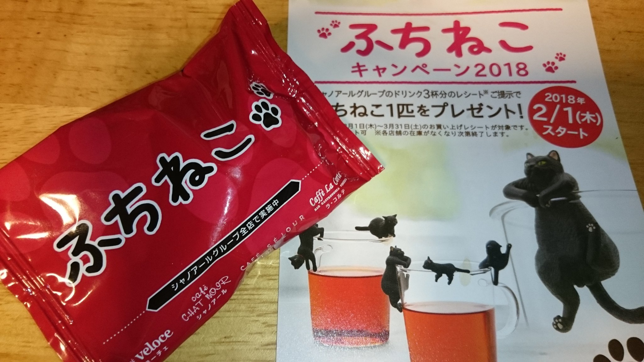 まめねこ びーんずきゃっと Twitterren 我が家に一匹目のふちねこちゃん ｷﾀ ﾟ ﾟ うちの子は イカ耳ちゃんでした なんと今回は性別と名前があるらしい 笑 こたろうくんだってー ๑ 艸 ｶﾜｲｲ ベローチェ ふちねこ T Co Rl0o5krxha