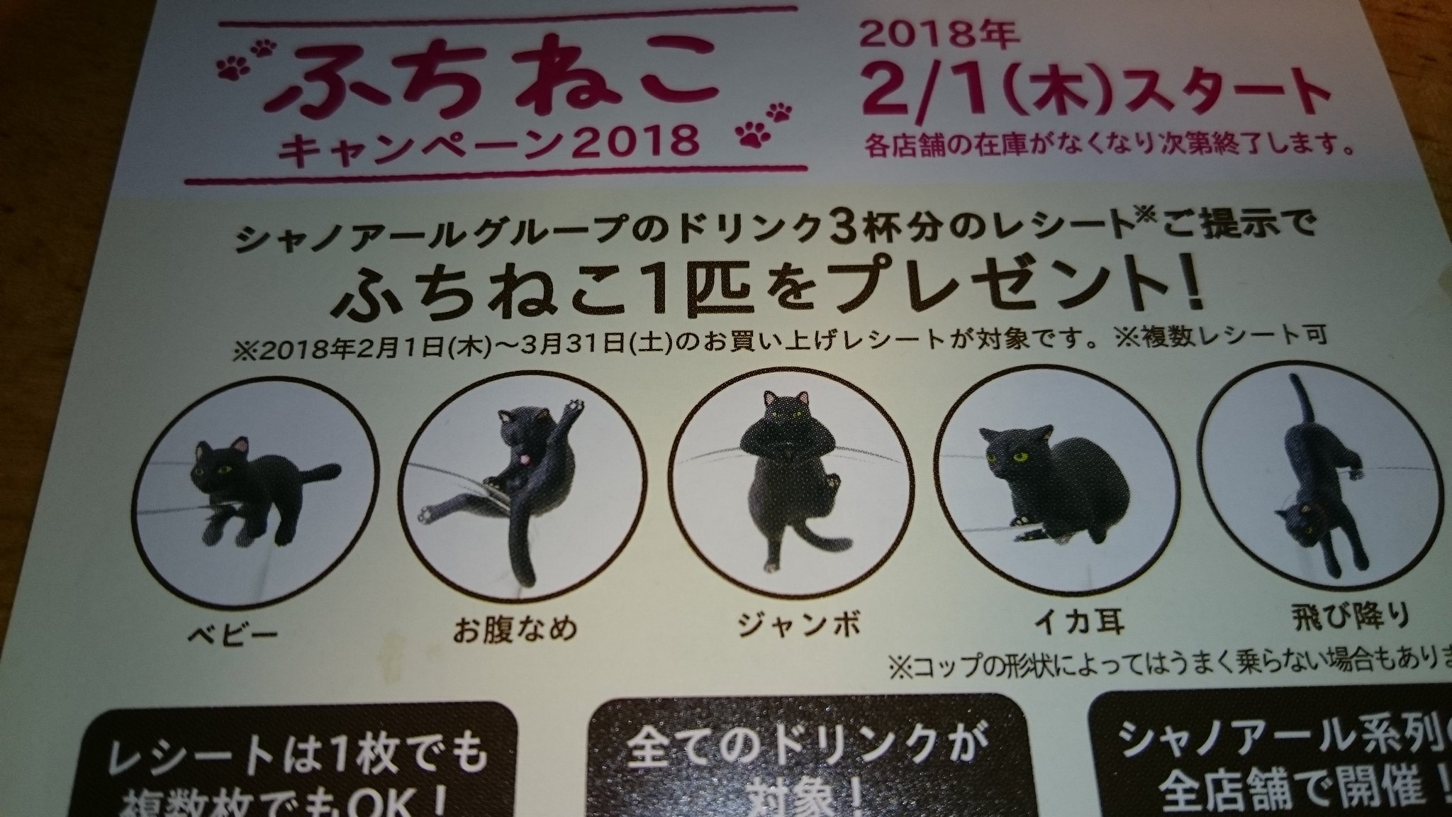まめねこ びーんずきゃっと Twitterren 我が家に一匹目のふちねこちゃん ｷﾀ ﾟ ﾟ うちの子は イカ耳ちゃんでした なんと今回は性別と名前があるらしい 笑 こたろうくんだってー ๑ 艸 ｶﾜｲｲ ベローチェ ふちねこ T Co Rl0o5krxha