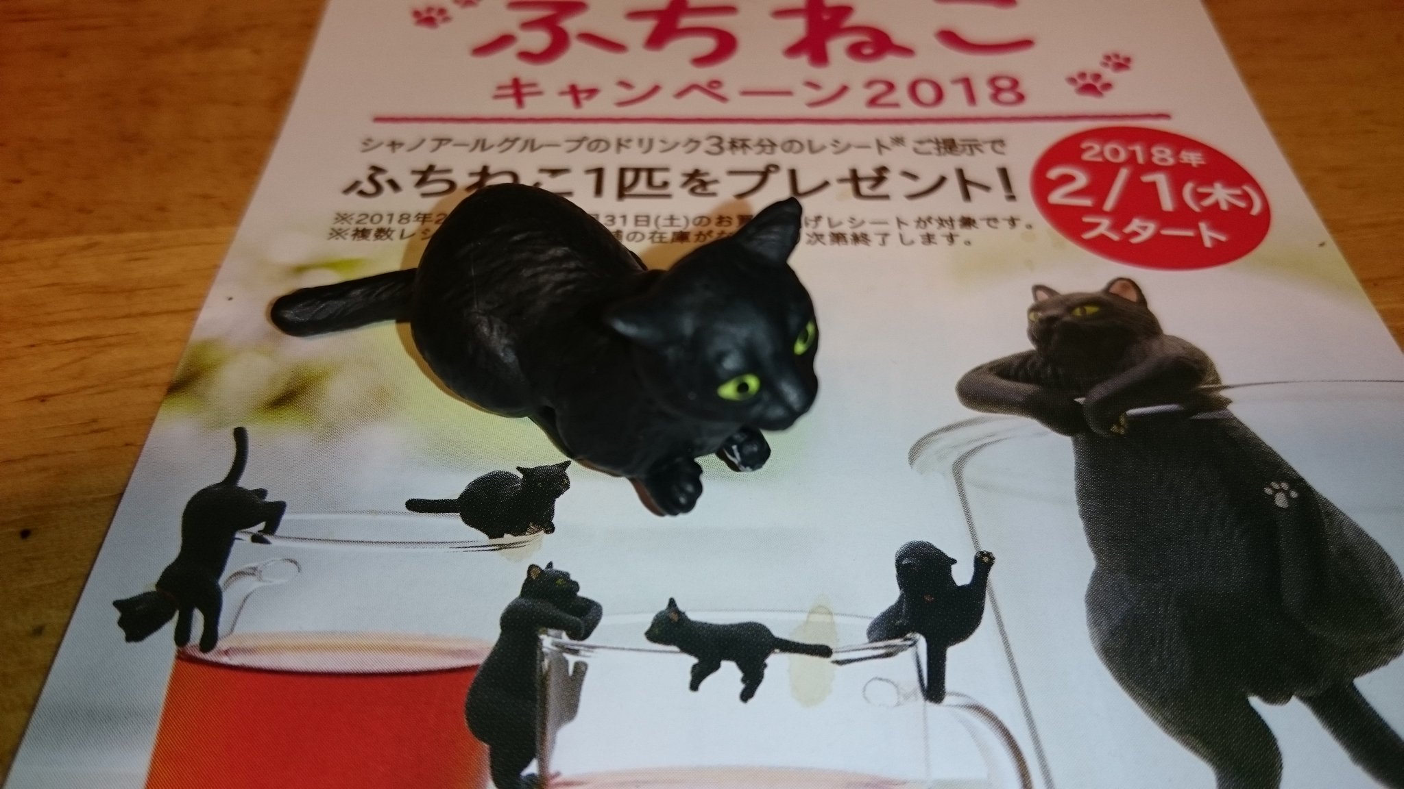 まめねこ びーんずきゃっと Twitterren 我が家に一匹目のふちねこちゃん ｷﾀ ﾟ ﾟ うちの子は イカ耳ちゃんでした なんと今回は性別と名前があるらしい 笑 こたろうくんだってー ๑ 艸 ｶﾜｲｲ ベローチェ ふちねこ T Co Rl0o5krxha