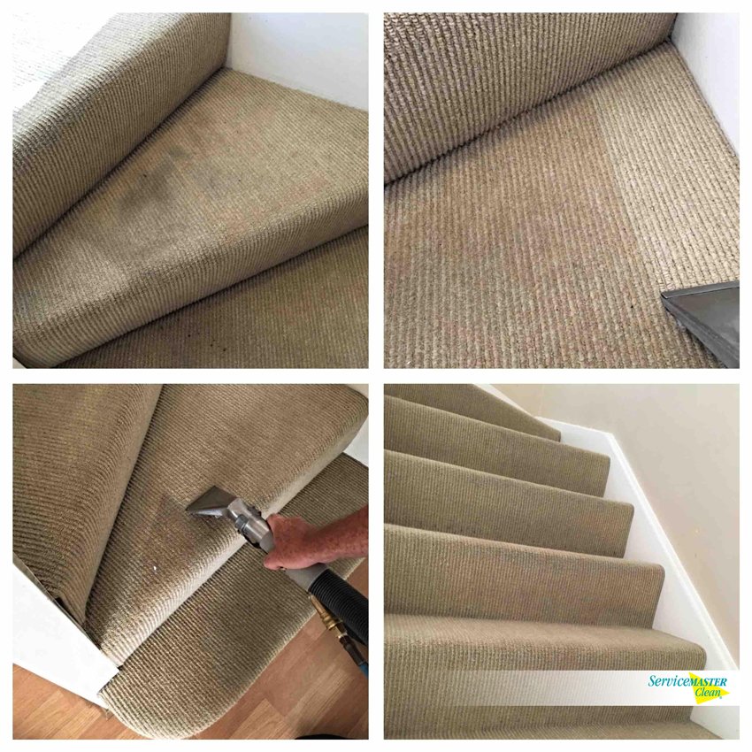 SMC_Ipswich's tweet photo. End of tenancy? Dirty carpet? Looking dull? Whatever your reason to get your carpets clean, let us offer advice and the best cleaning methods for your carpet/floor. https://t.co/bSJViRcTwW