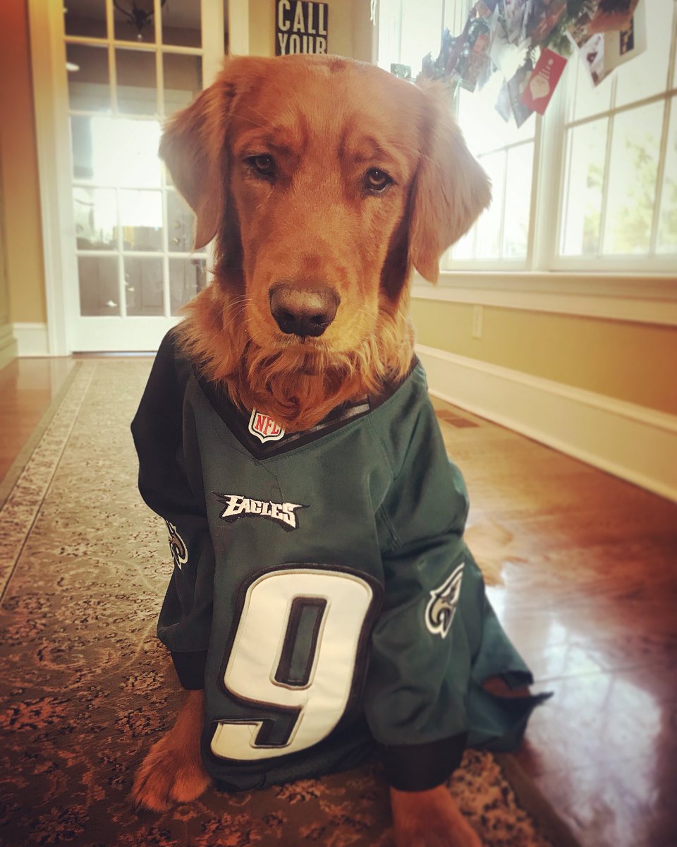 Did someone say #underdog? From now through the #SuperBowl  head to PSPCA’s Facebook page and… instagram.com/p/BeoVLO6gM6h/