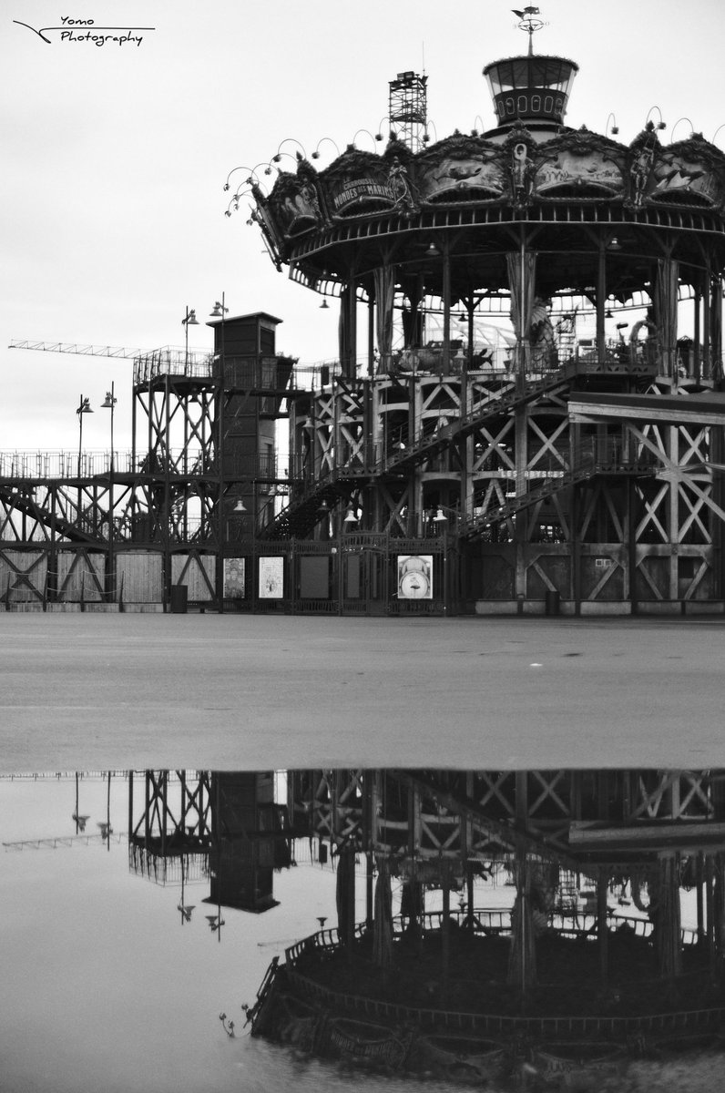 Yomo Photography tweet media