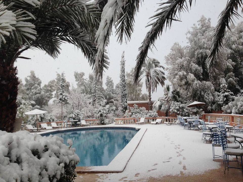 Tourdelmarocco's tweet photo. Tour Marocco : la neve nel deserto #marocco #viaggi #Tours #tourdelmarocco #sahara https://t.co/7fT6ZA7FaC https://t.co/JpmBs9n2Ft