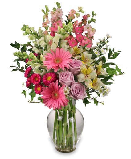 CtryLnFlorist's tweet photo. The countdown is on. Order your Valentine's Day Bouquet today from our easy to use website. https://t.co/NOsZDdKuaY https://t.co/Cy9SZmhoro