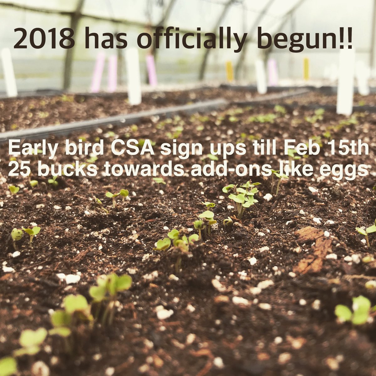 You have a dentist and a doctor, how about a farmer? We wanna be that for you in 2018!!