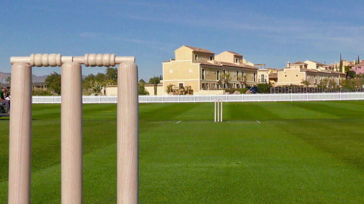 DesertSpringsCricket tweet media