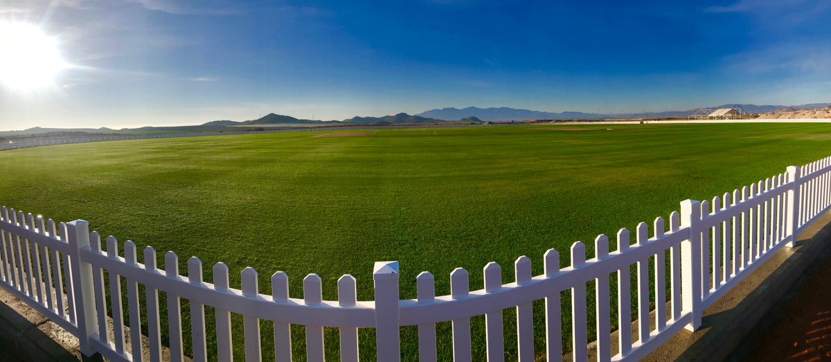 DesertSpringsCricket tweet media