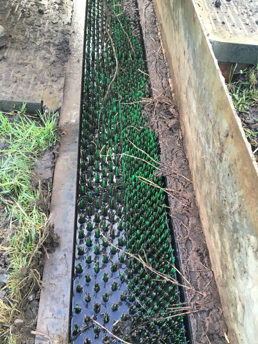 Laura &amp; Sam have been out today inspecting and cleaning eel passes on our river gauging stations. 

Here on the #worcestershire Salwarpe.