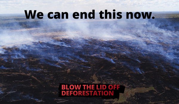 CloudsCreek's tweet image. Fight to protect Queensland’s forests and bushland, and the beautiful wildlife that call them home #EnvironmentLaws