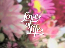 Soap_Dude2's tweet photo. On this day in 1980 #LoveOfLife ends after a 28 year run on CBS #SoapHistory #SoapTrivia https://t.co/JgGyO1LSNy