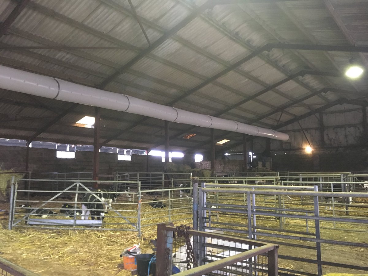 jr_baggs's tweet photo. New ventilation system fitted in our calf barn. Using @fevertags1 to monitor improvements. https://t.co/EongRmmxgC