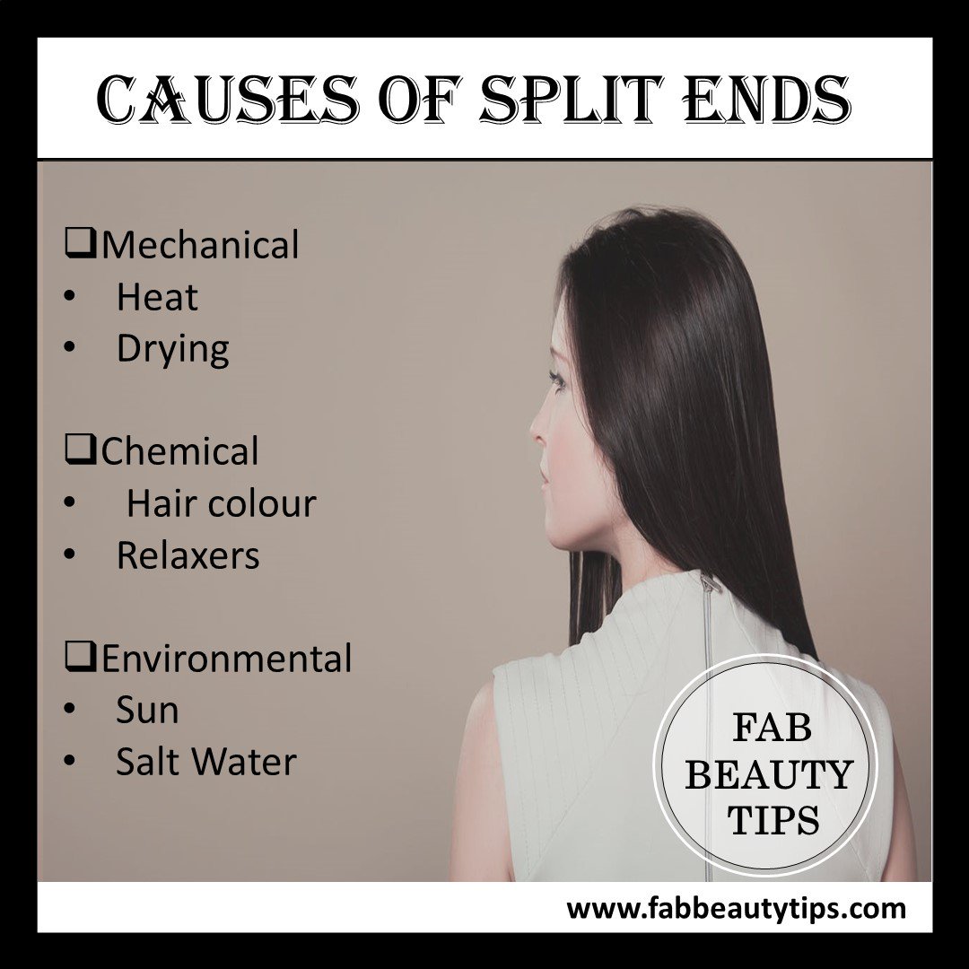 Types of Split Ends  Causes and What You Can Do To Prevent Them 