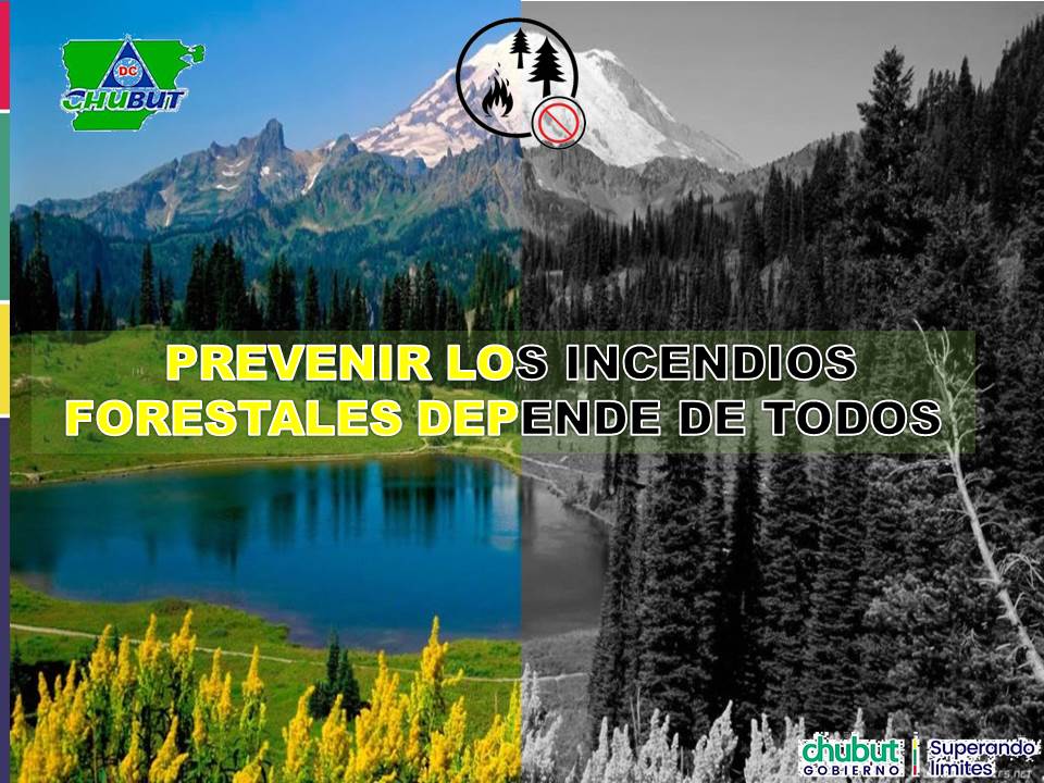 #TomemosConciencia Un momento de distracción, una colilla de cigarrillo aún encendida, un vidrio abandonado que provoque el efecto lupa, una fogata mal apagada, una quema agrícola no controlada, son factores que pueden provocar un #IncendioForestal. <a href="/Mazaruca/">Walter Flores</a>